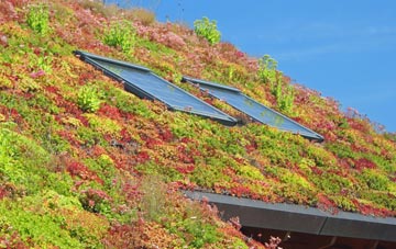 Middleton Tyas living roof systems